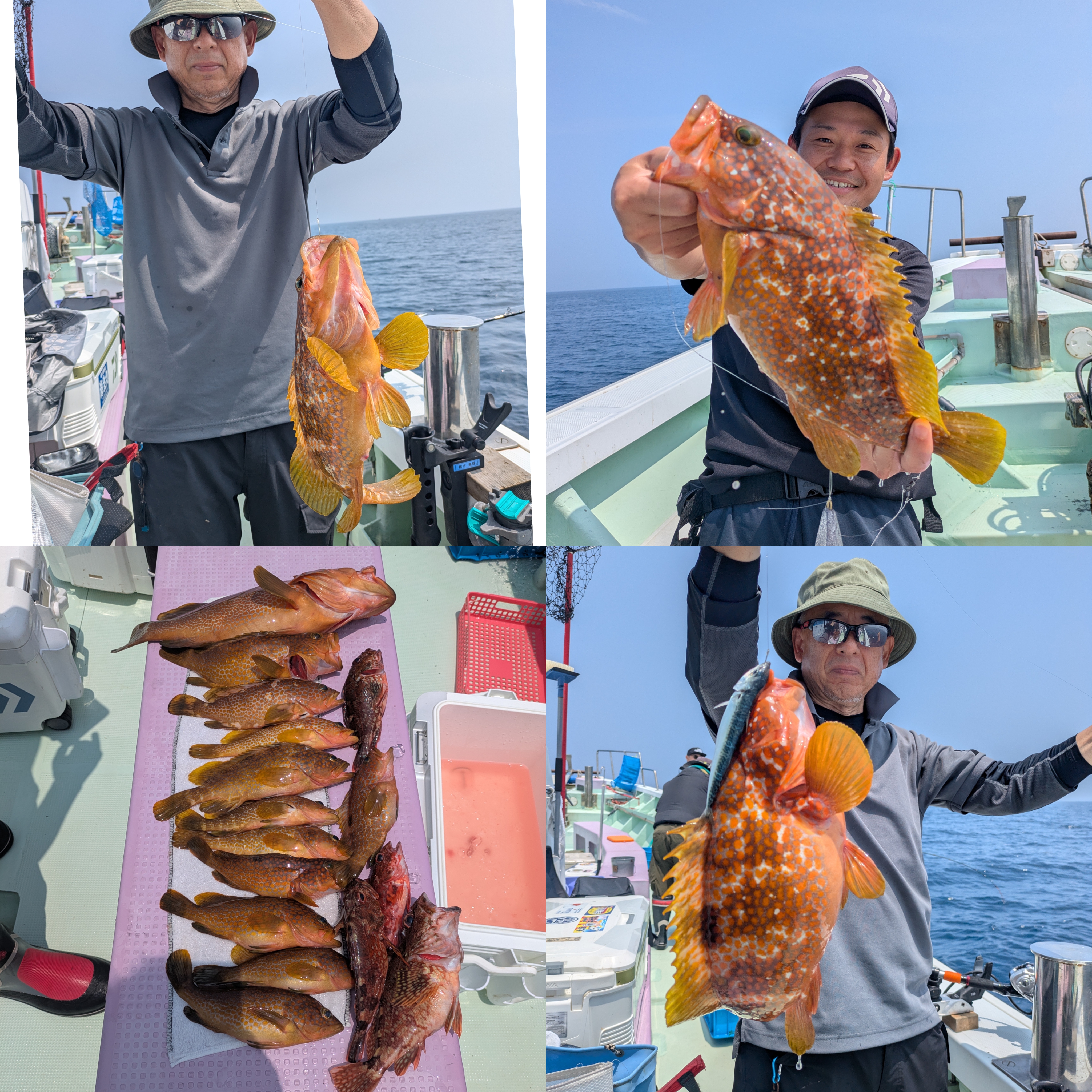 最新釣果情報