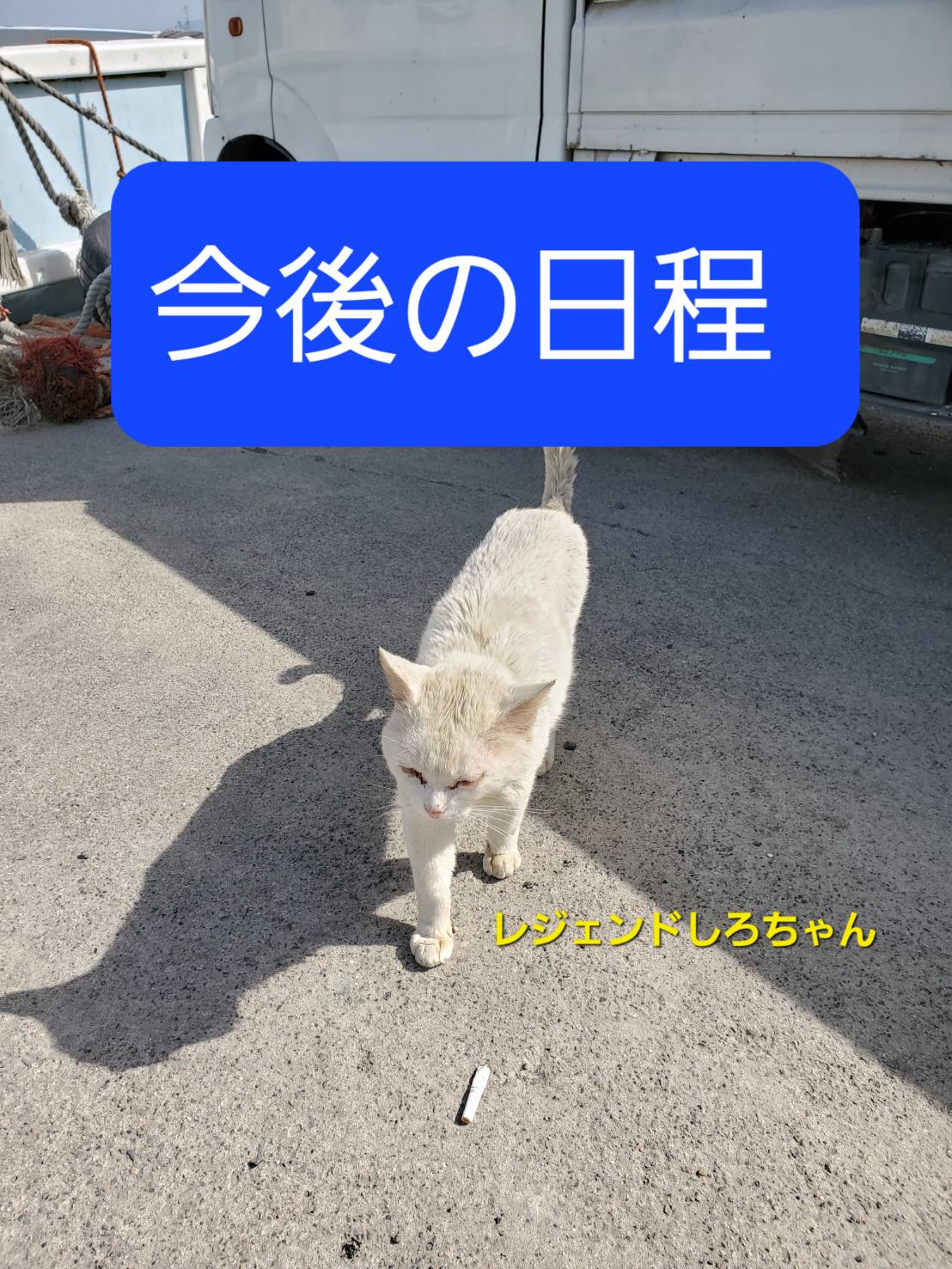 最新釣果情報