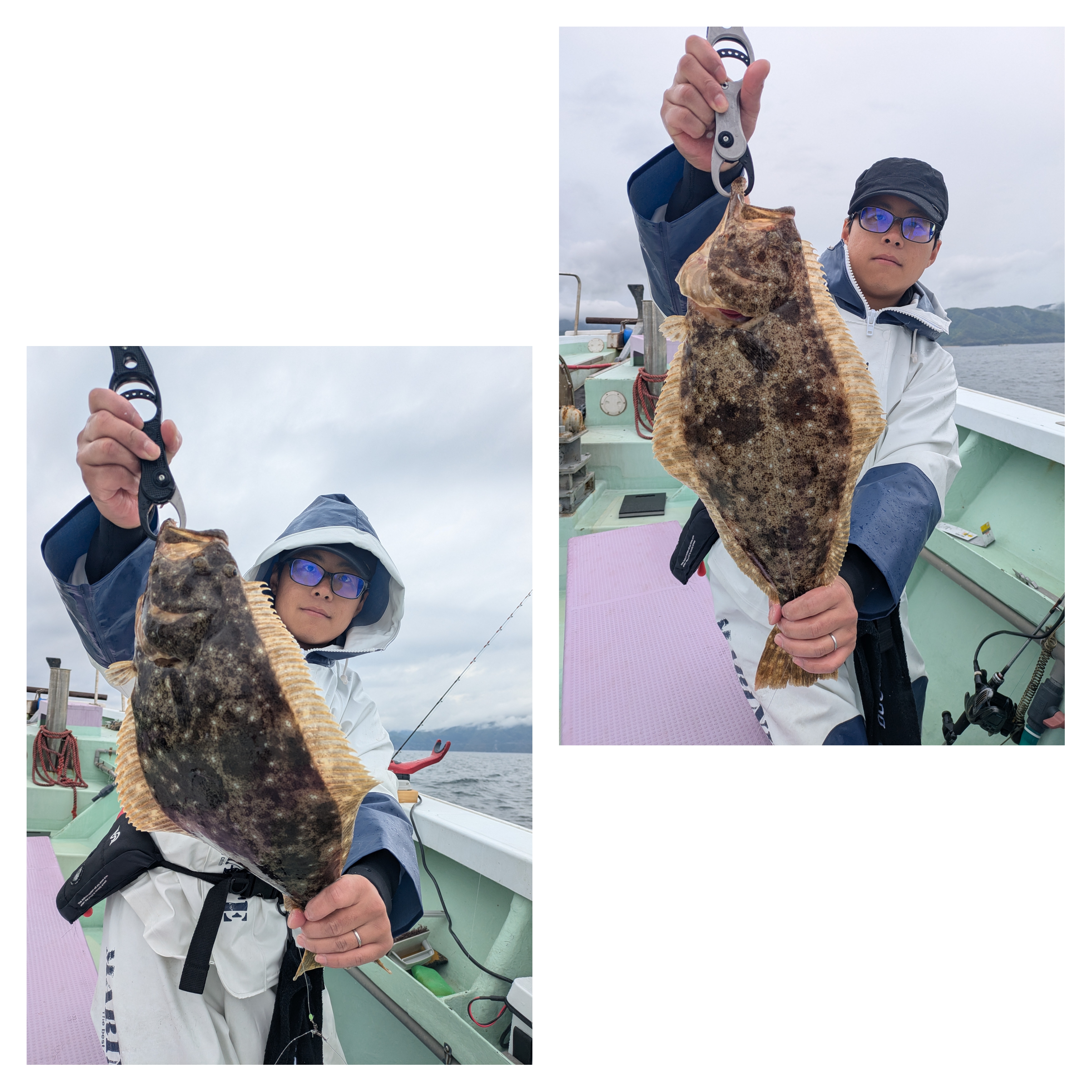 最新釣果情報