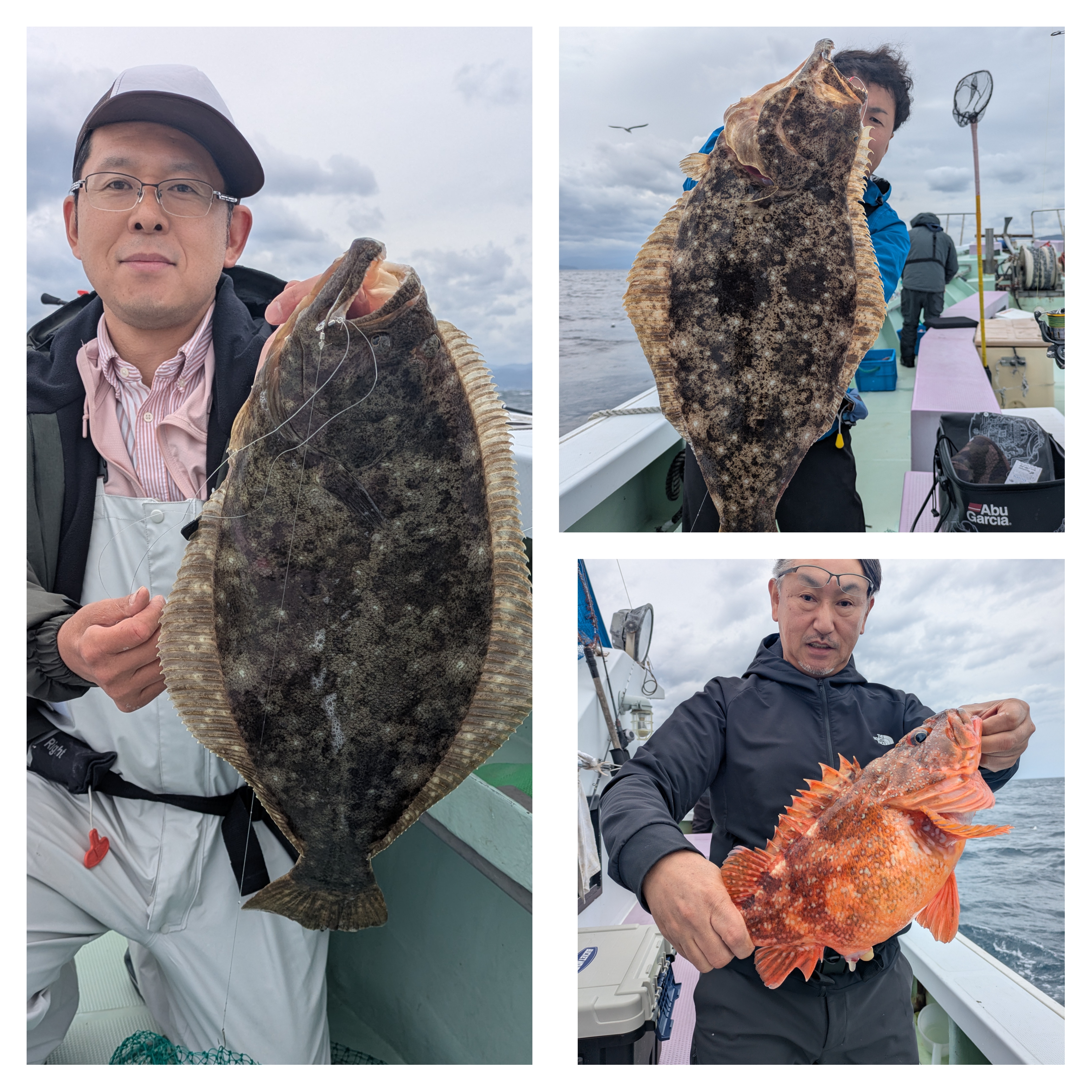 最新釣果情報
