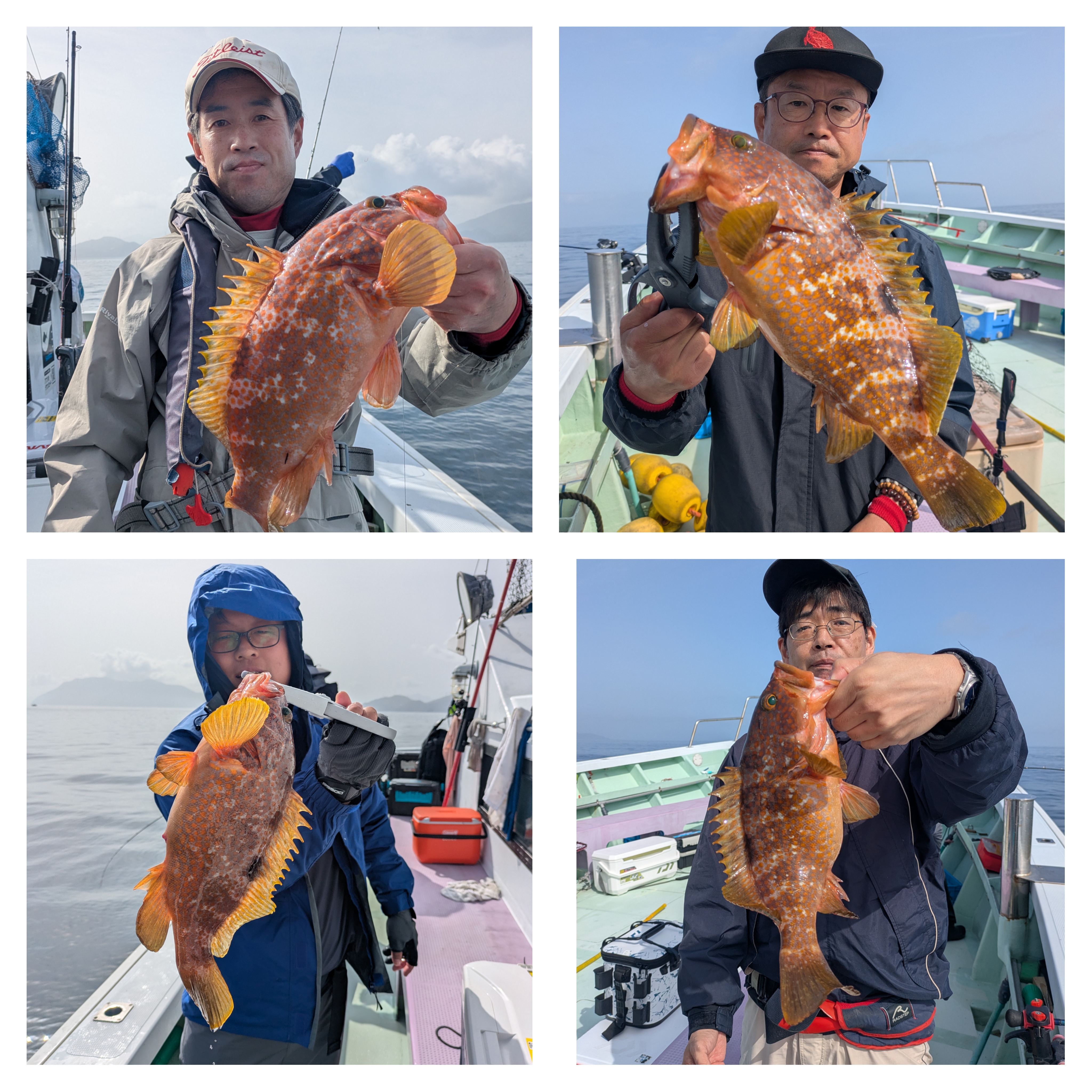 幸丸です。 幸丸