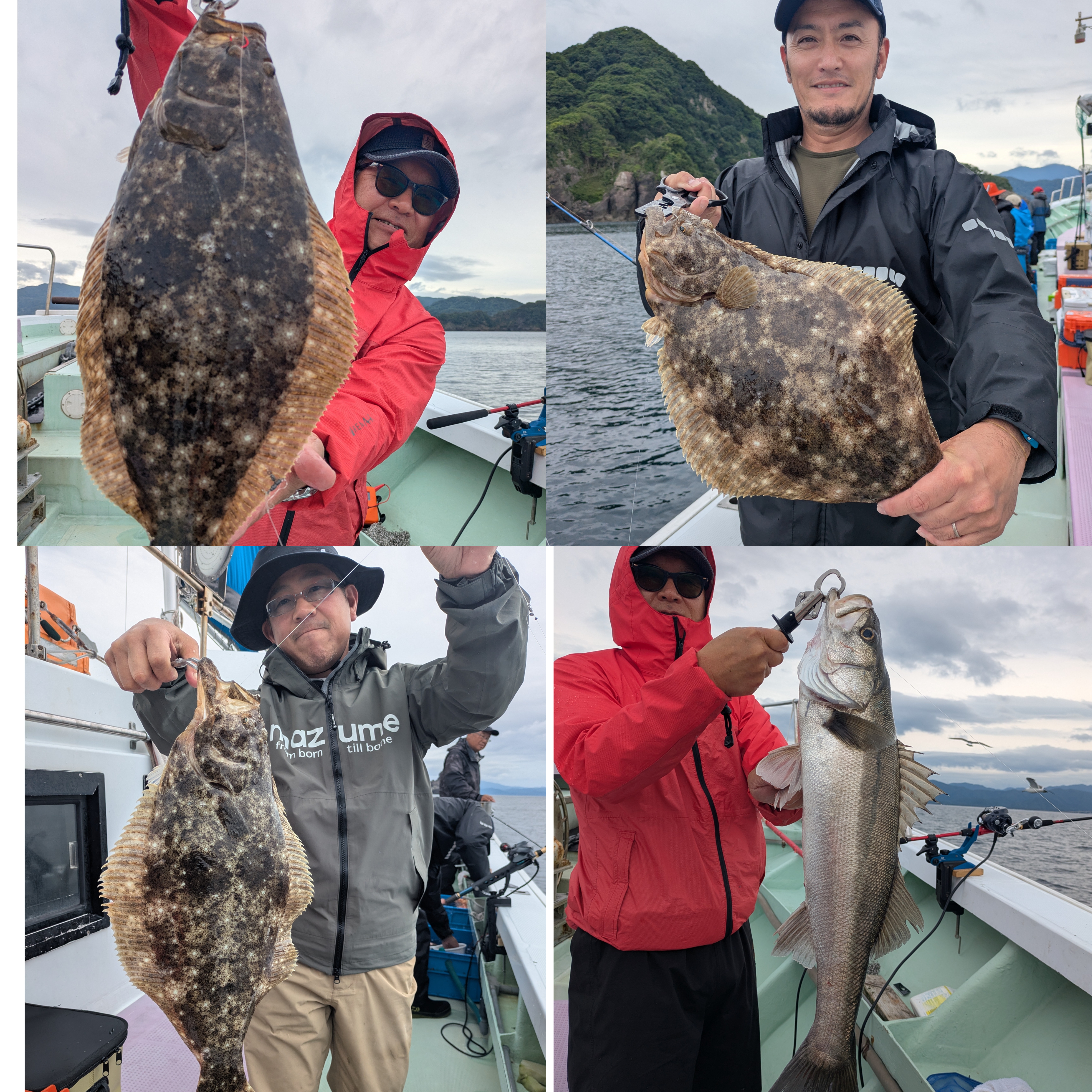 最新釣果情報