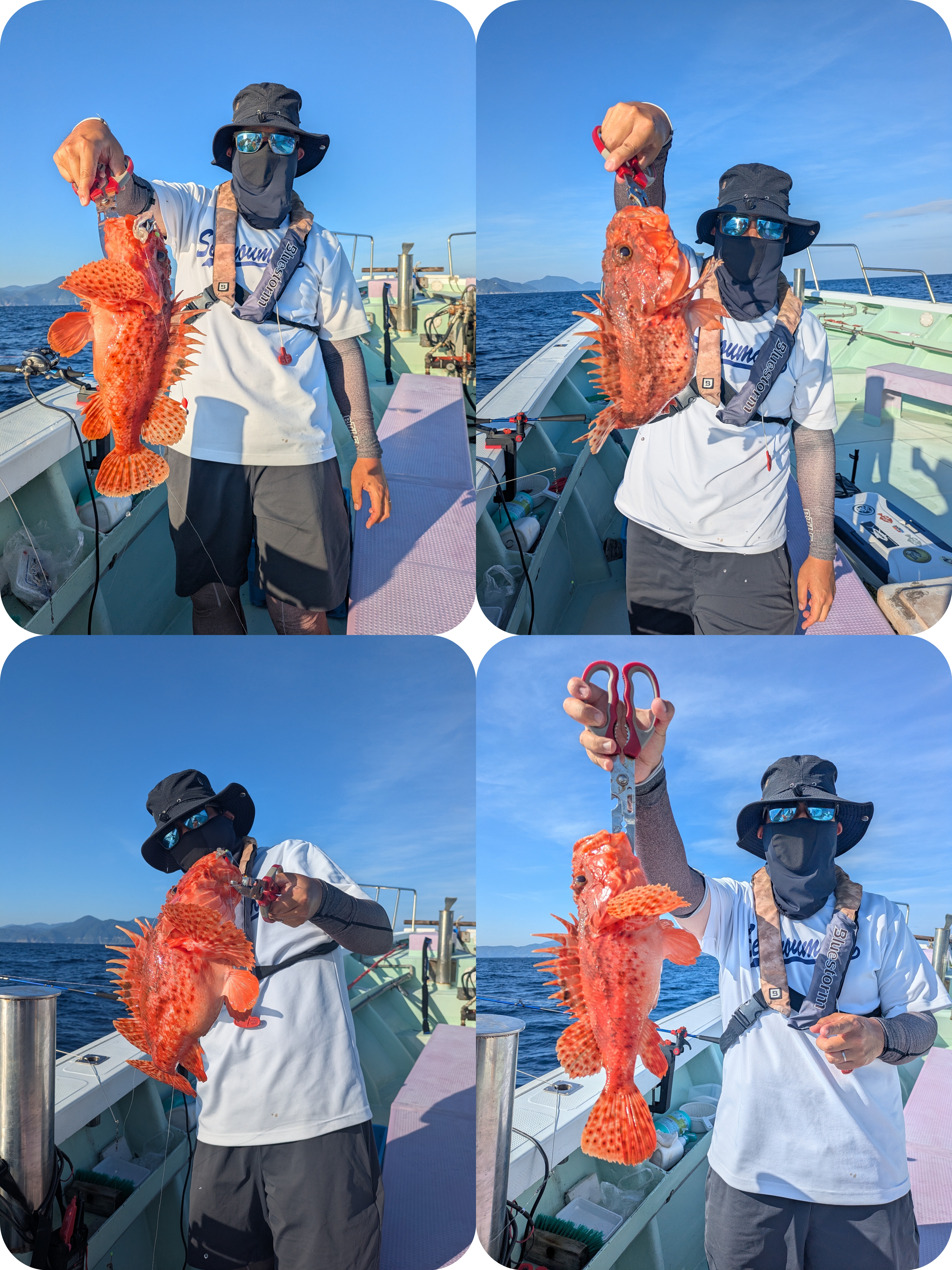 最新釣果情報