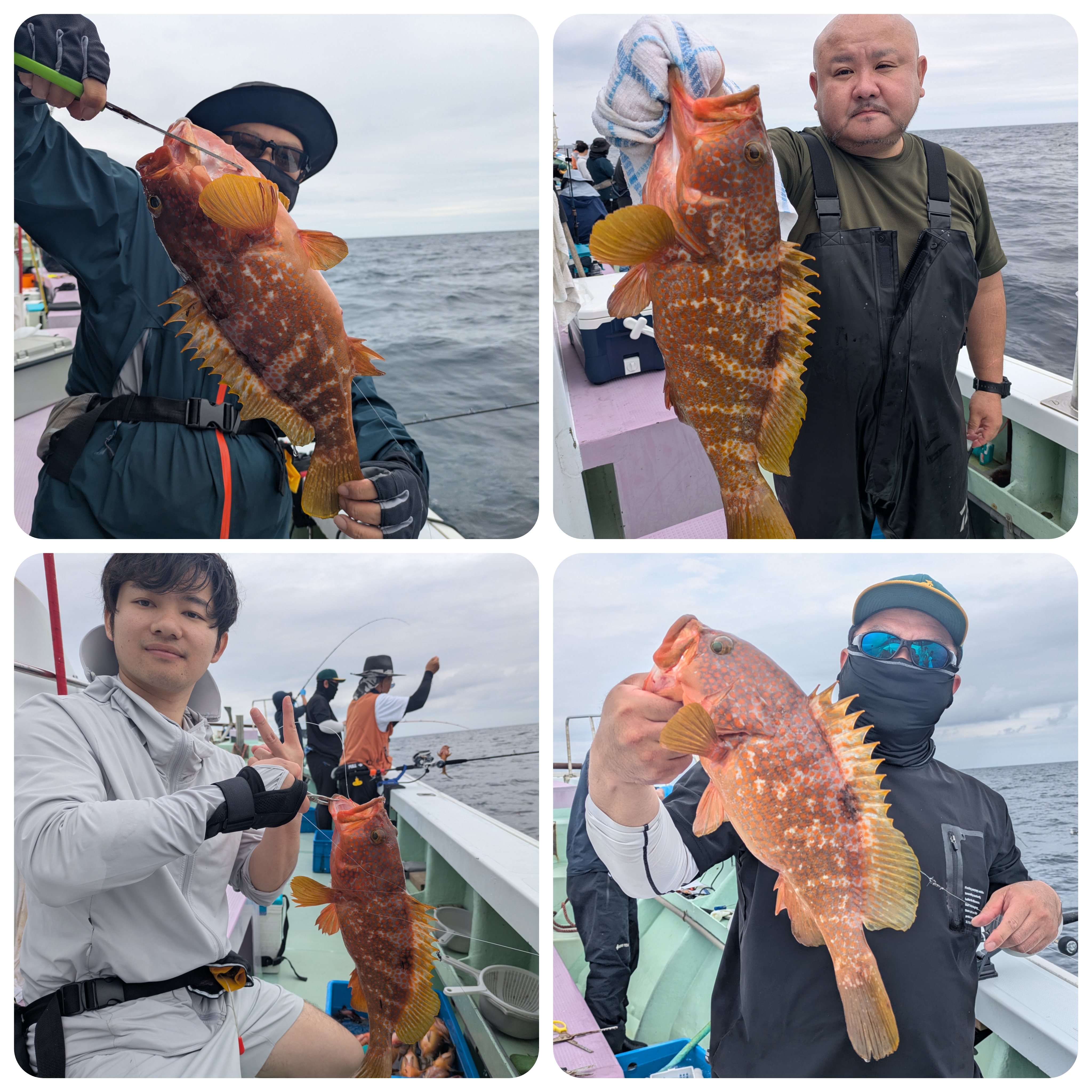 最新釣果情報