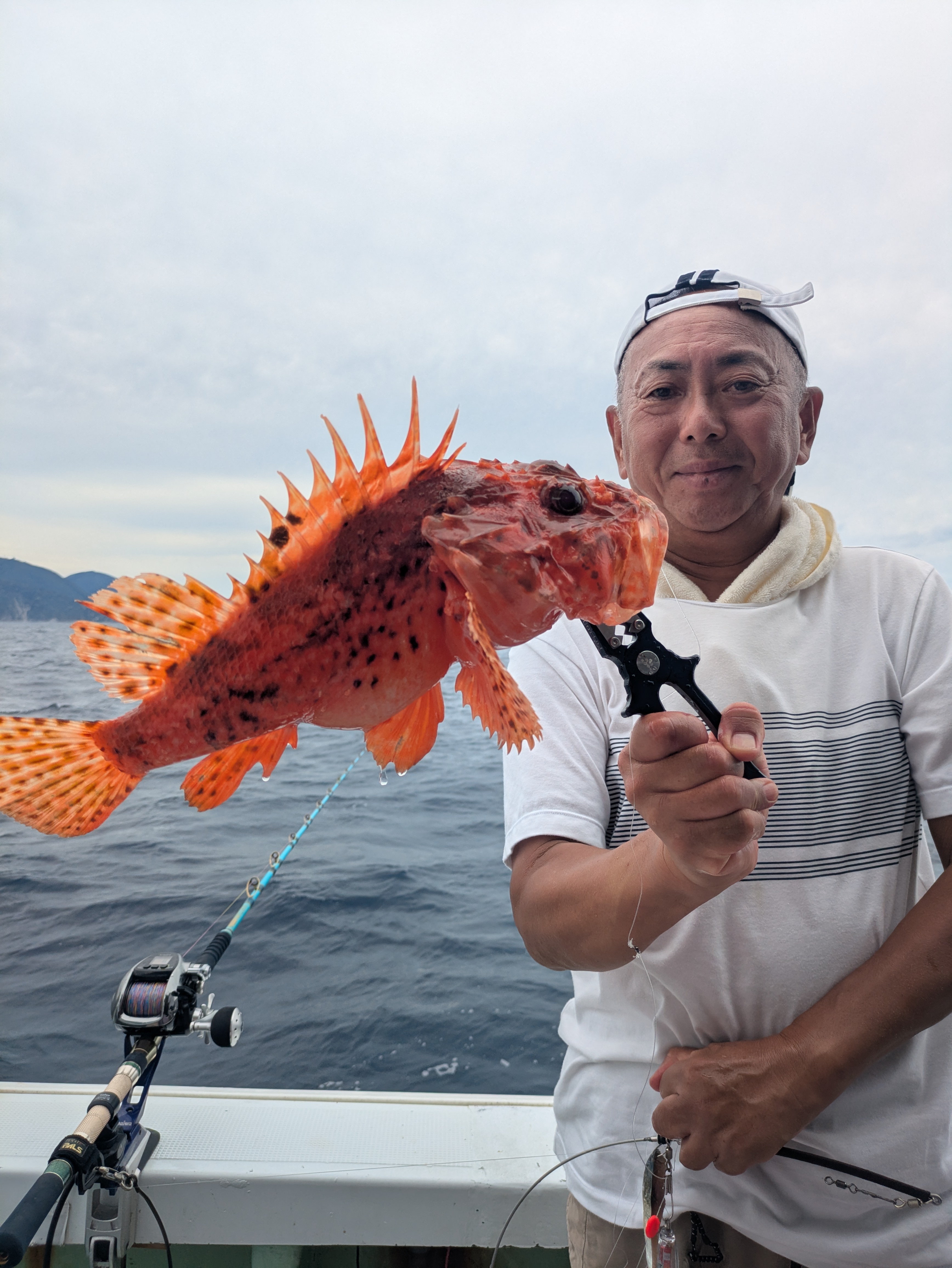 最新釣果情報
