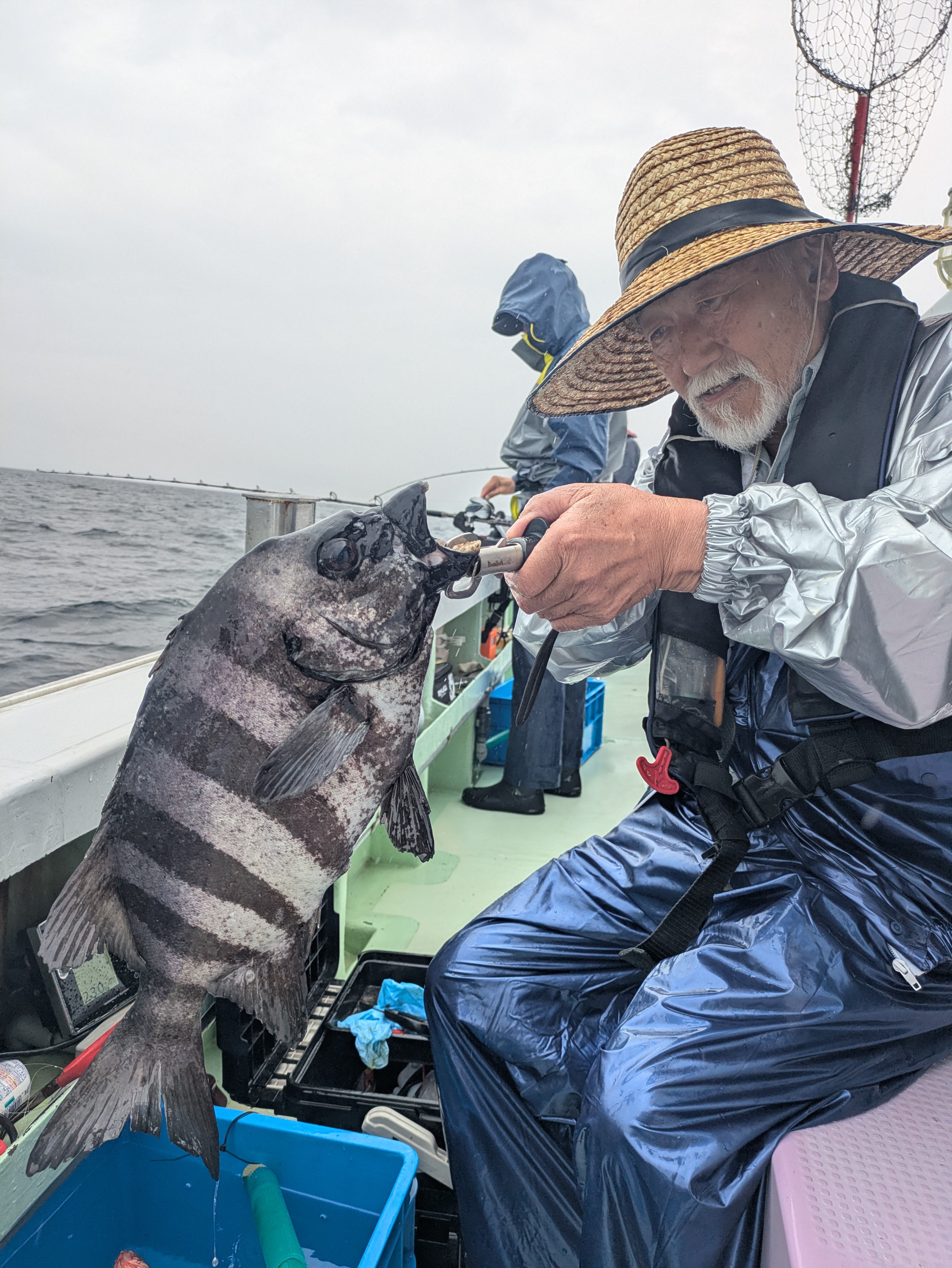 最新釣果情報