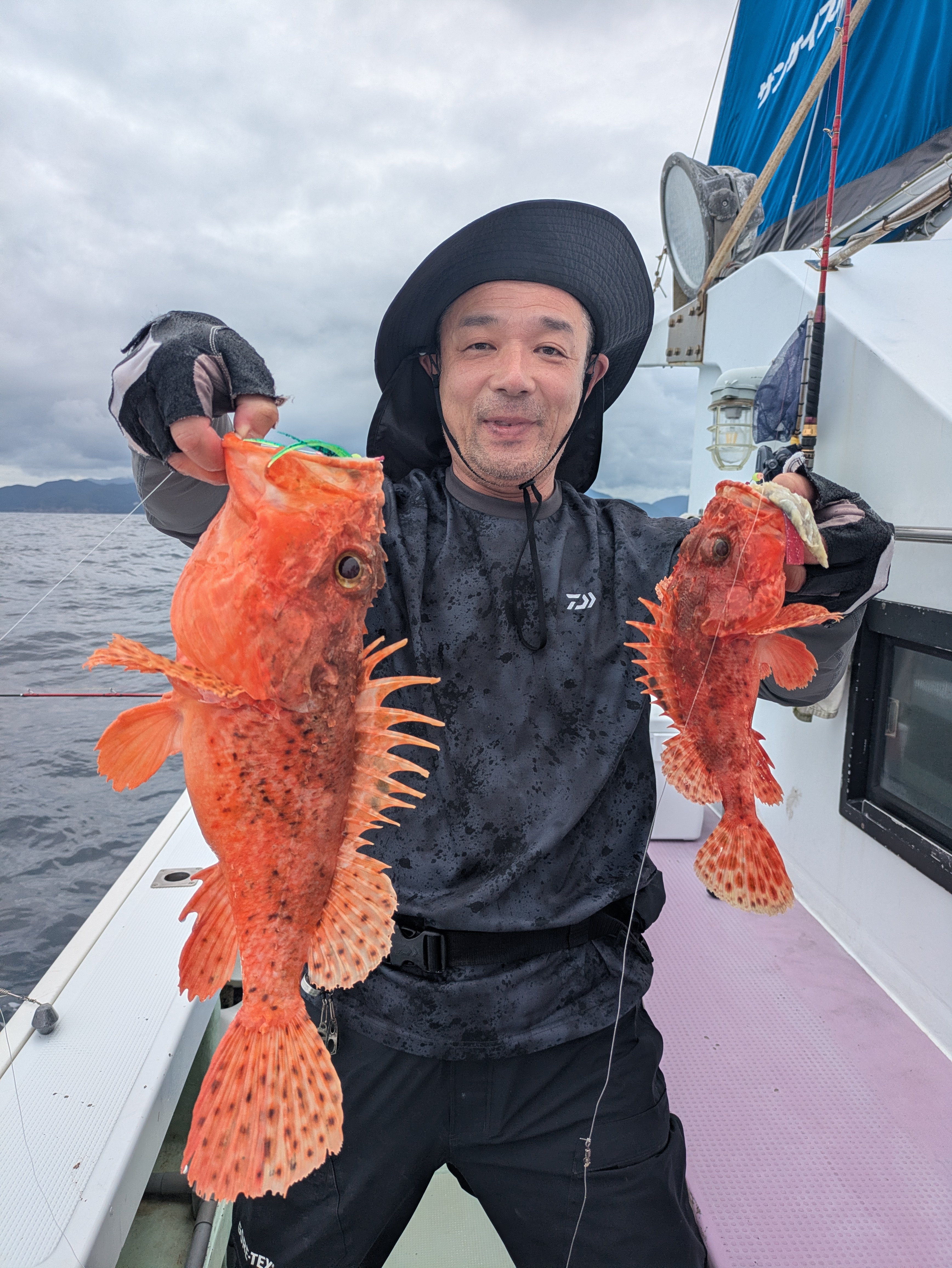 最新釣果情報