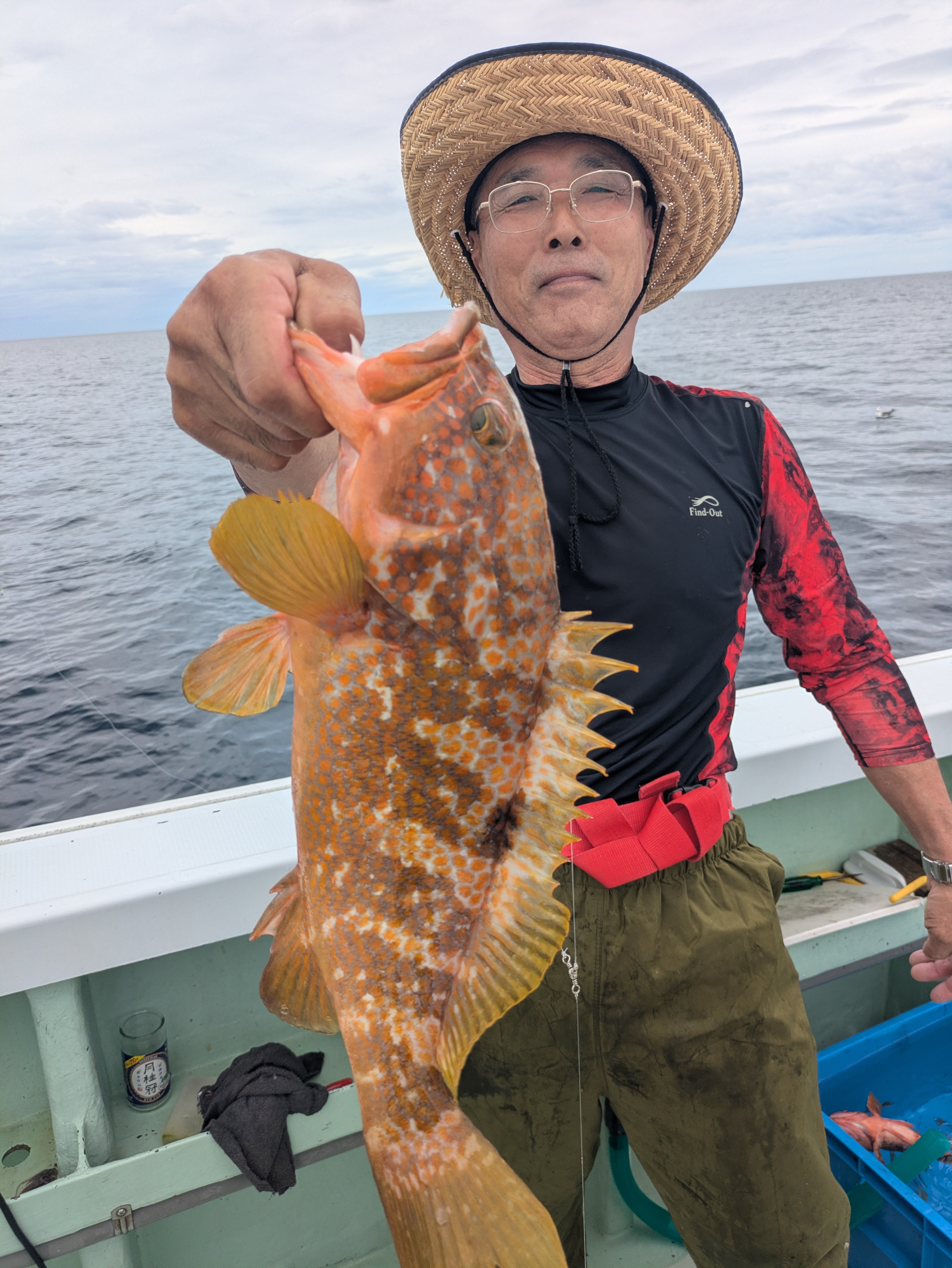 最新釣果情報