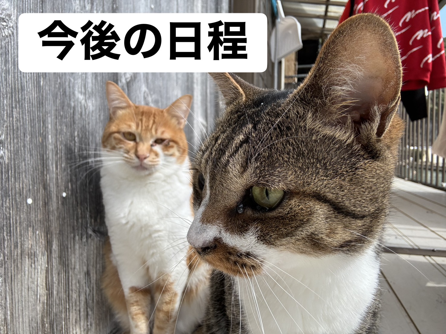最新釣果情報