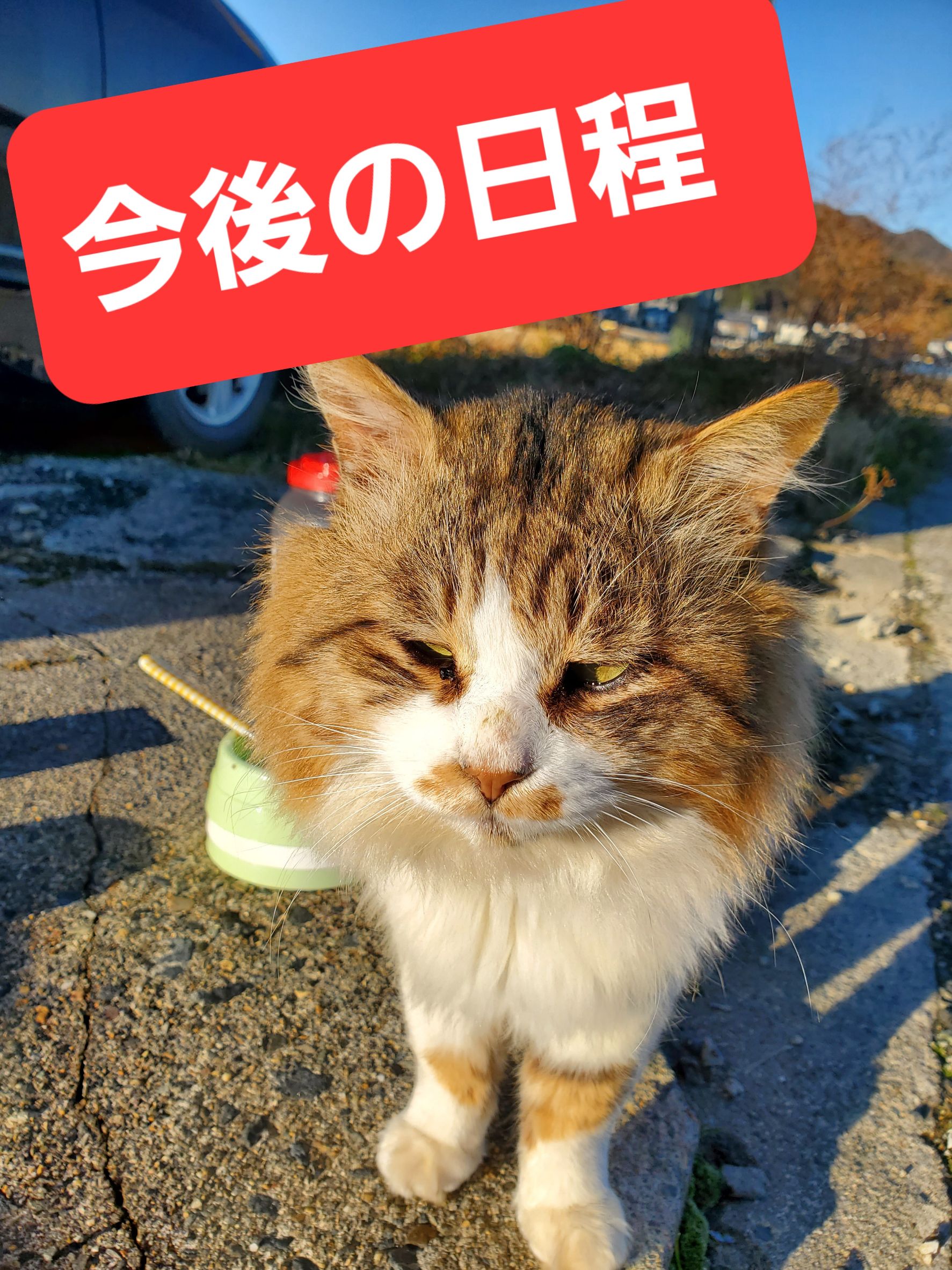 最新釣果情報