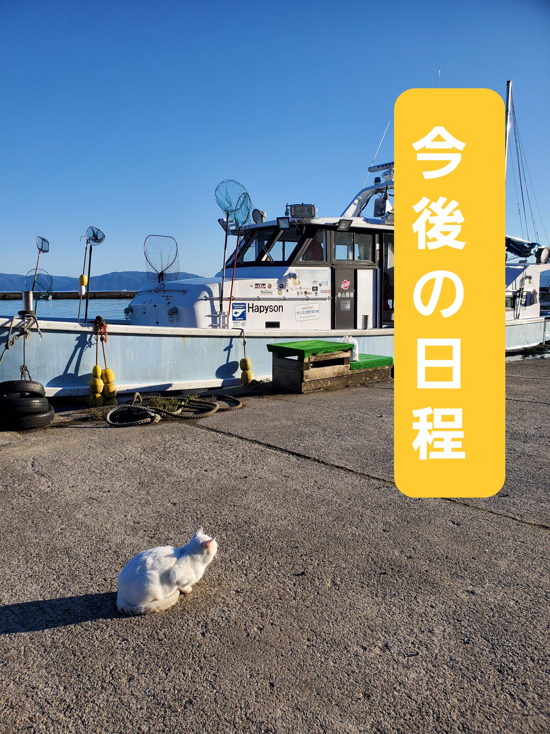 最新釣果情報