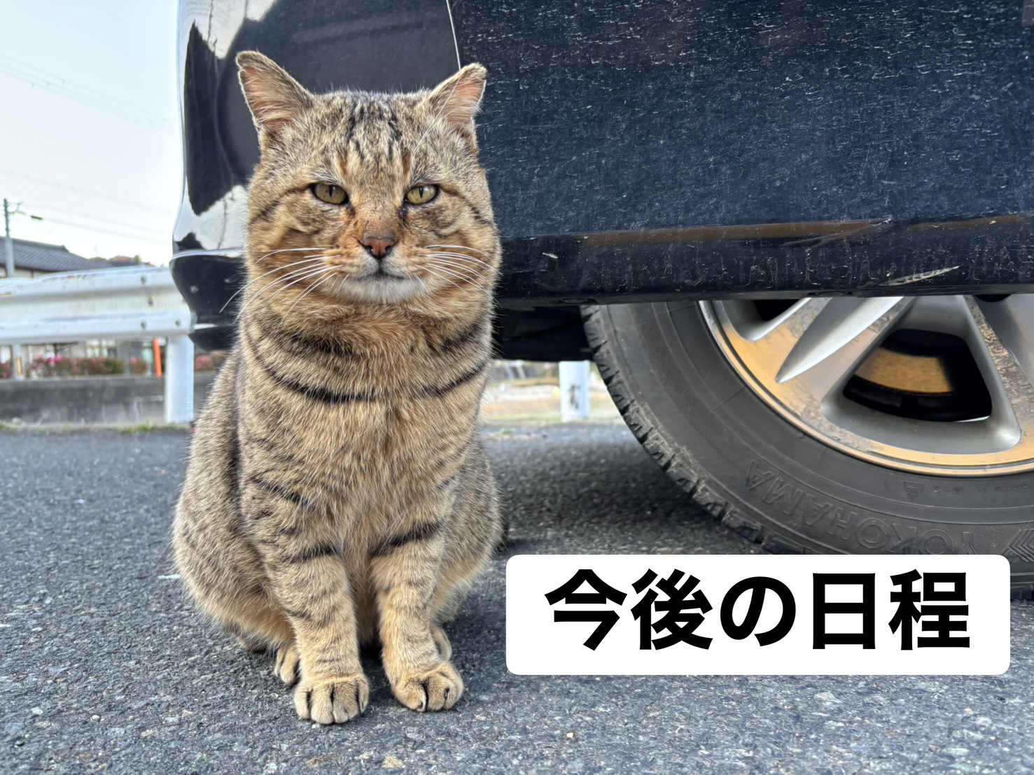 最新釣果情報